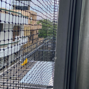 Read more about the article Industrial Bird Net Supplier in Manesar