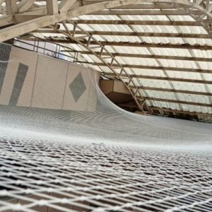 Read more about the article What is the importance of Bird Netting