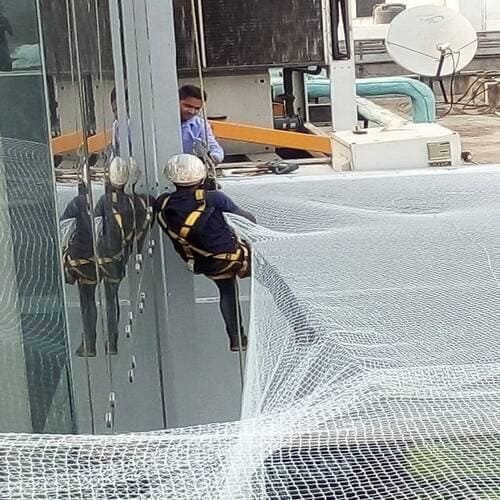 Mall bird net installation