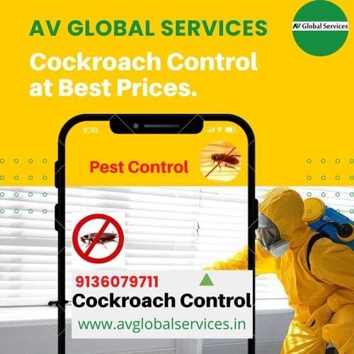pest control for cockroaches